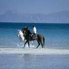 Caballo  Playa 