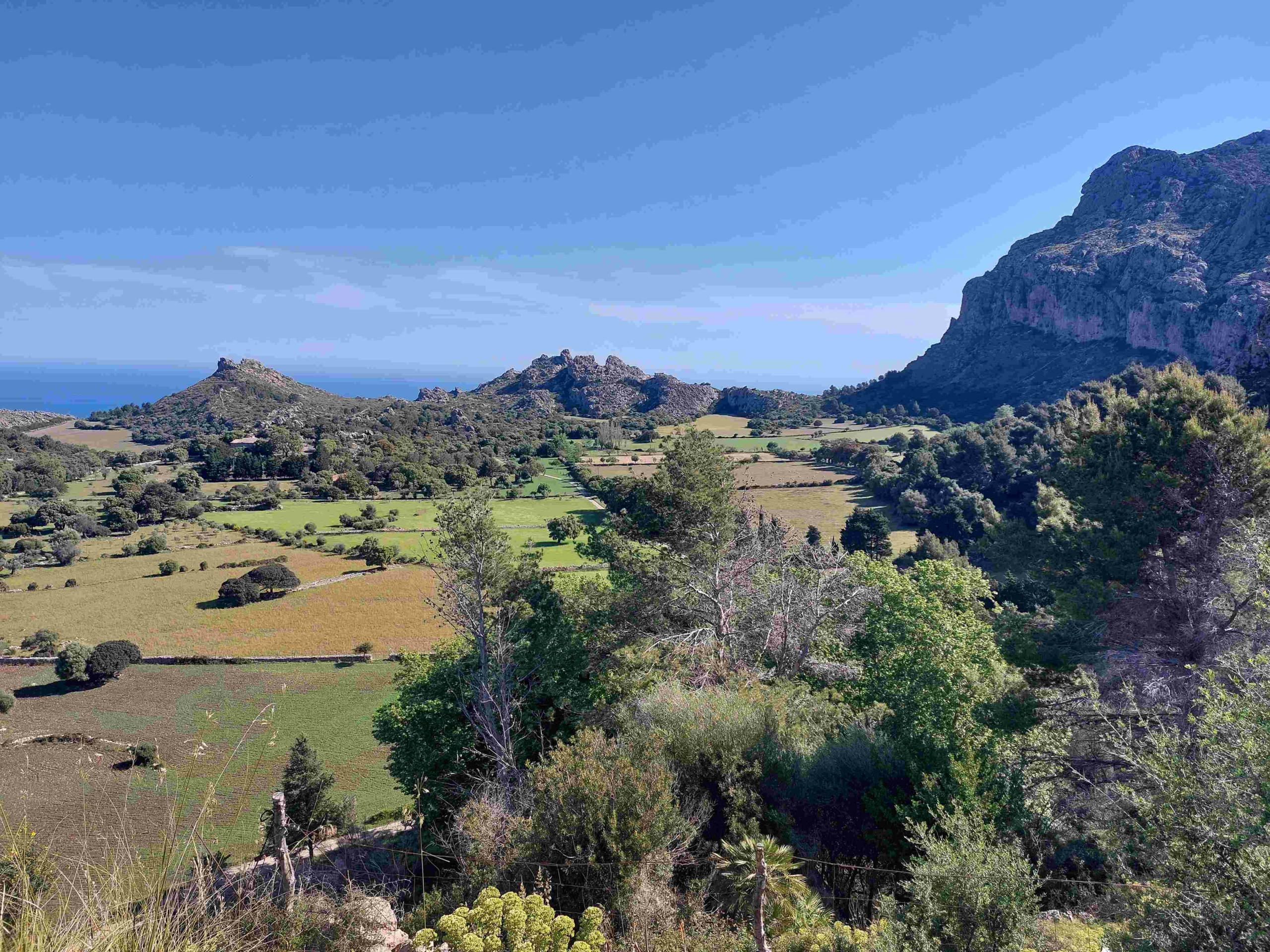 Ariant en la Serra de Tramuntana, Mallorca