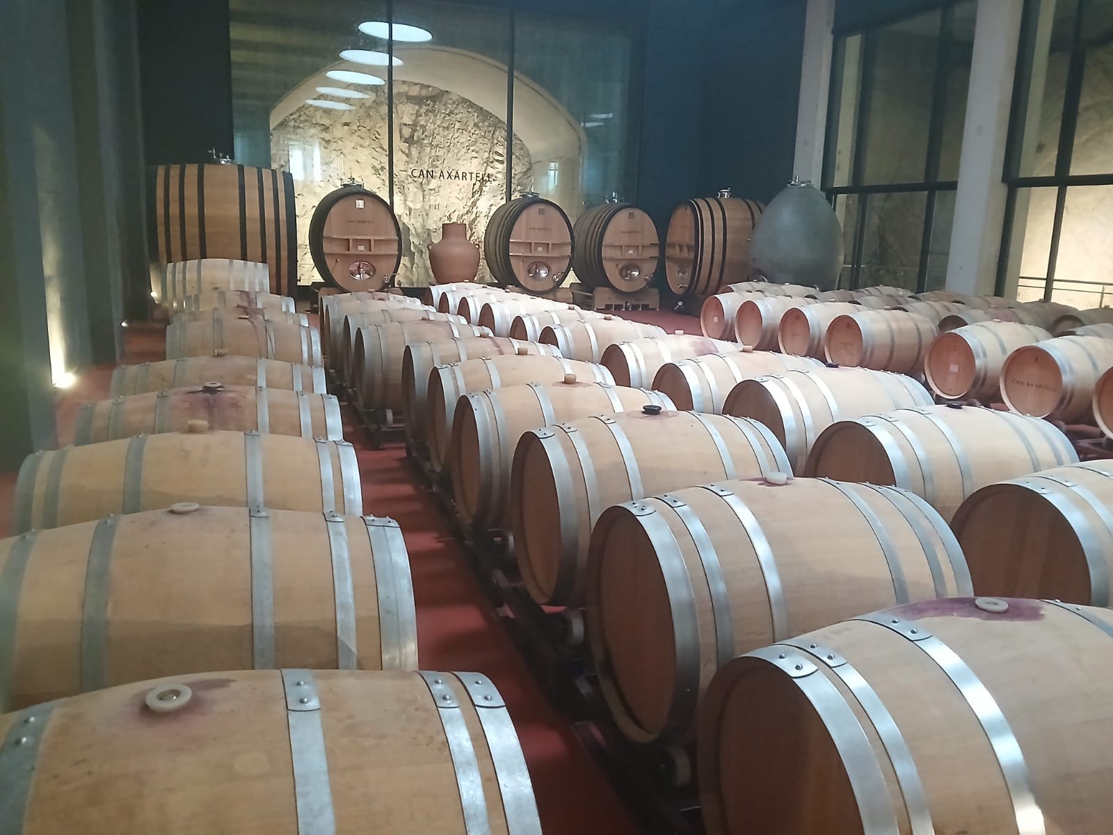 La bodega Can Axartell está contruida dentro de las rocas.