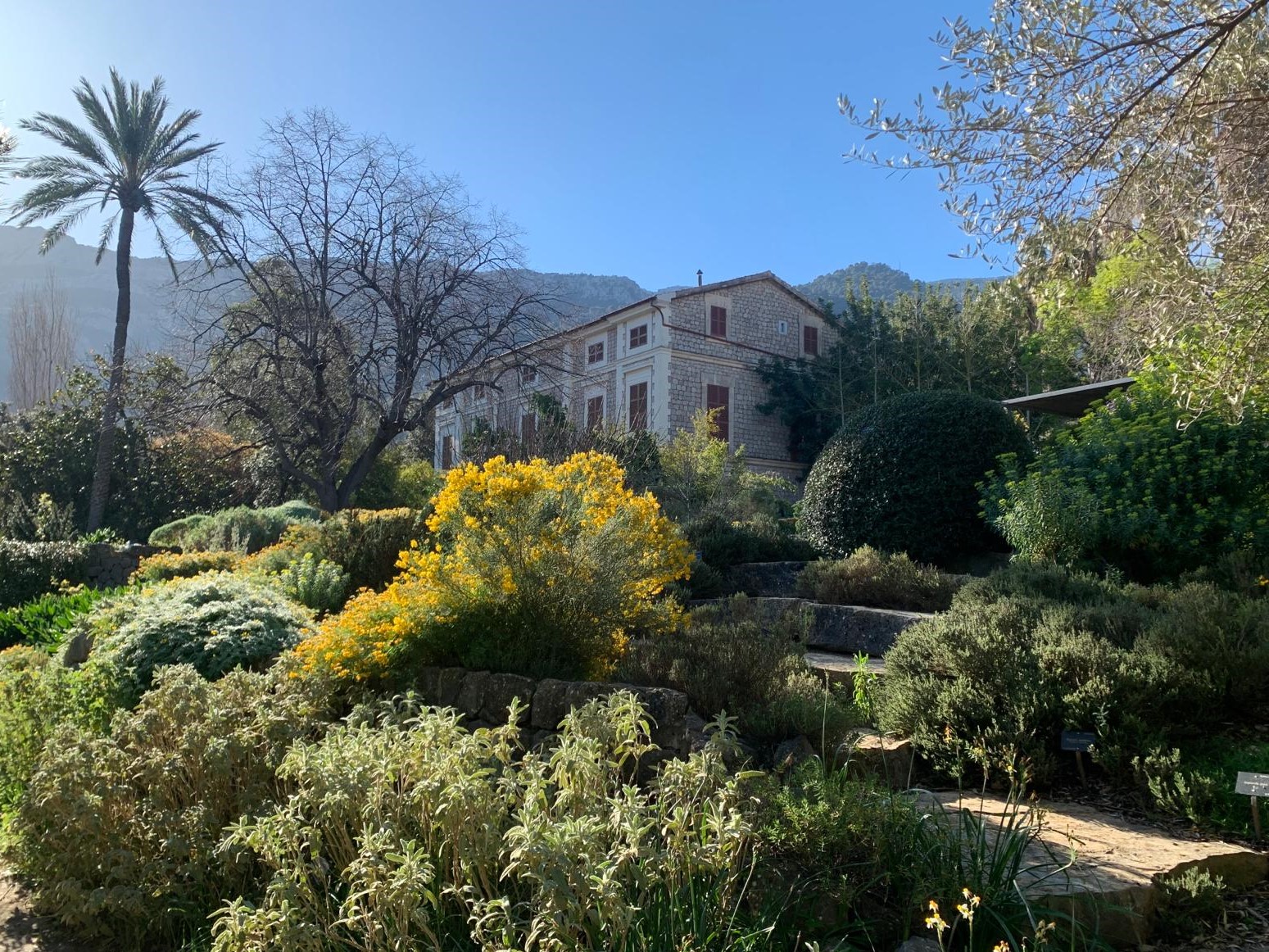 Jardïn Botánico de Söller, Mallorca